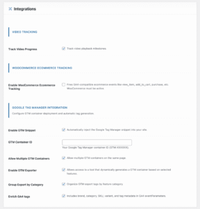 WordPress GTM setup guide - Configure GTM Container ID in ADT settings WordPress GTM setup guide - Enter GTM Container ID in Advanced DataLayer Tracker settings