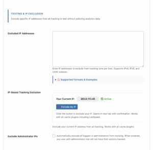 Exclude IP from Google Analytics: WordPress Testing Guide